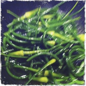 - Scapes. Slightly better as compost. Lots better on the table in a vase. -